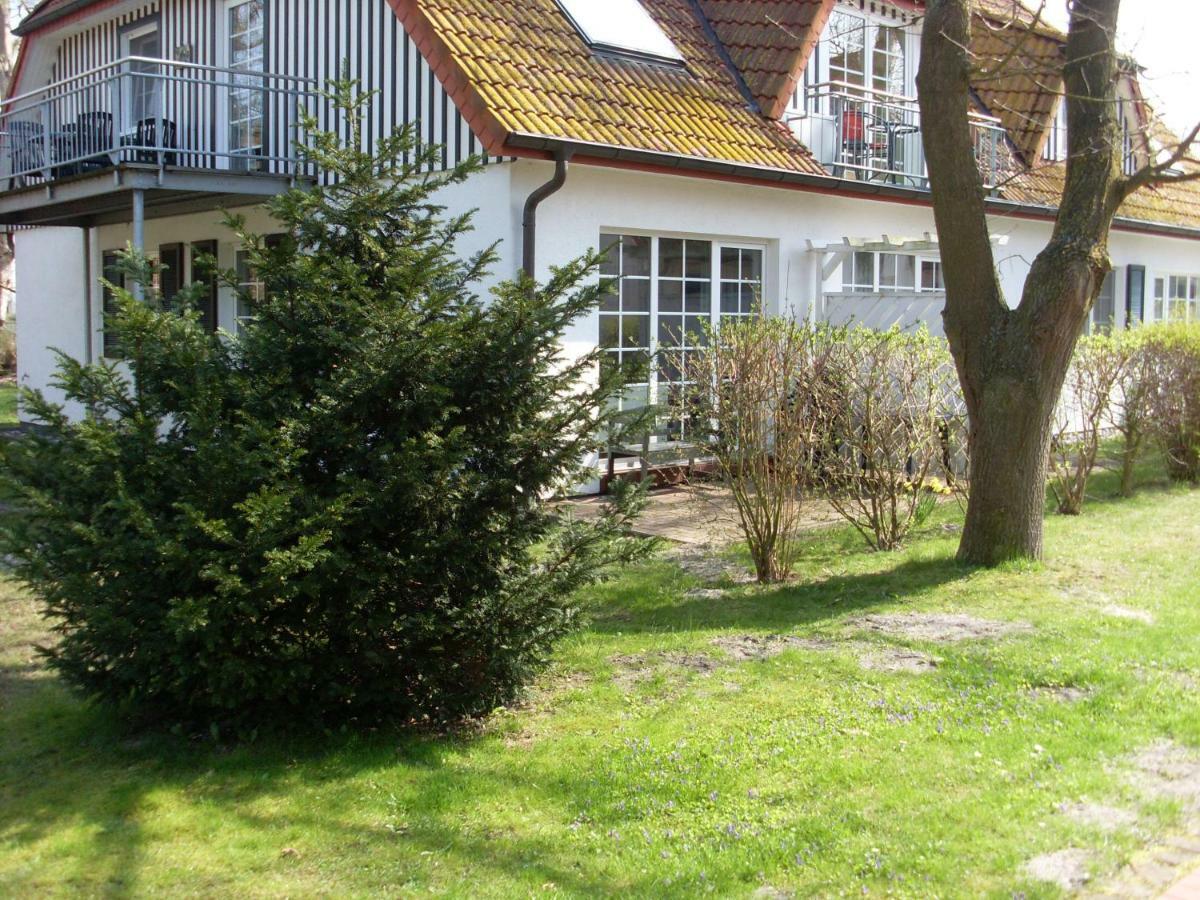 Ferienwohnung Muehlenstr. 프레로 외부 사진